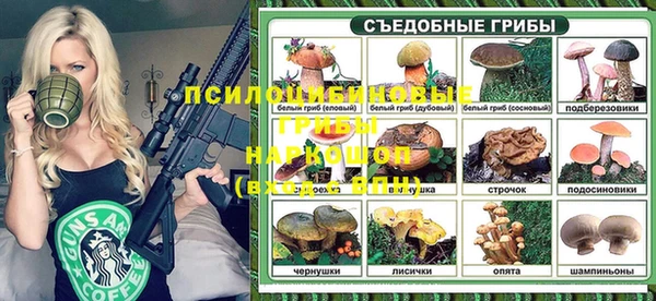 гидропоника Магас