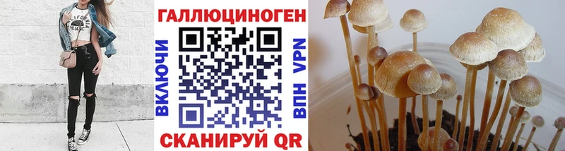 Галлюциногенные грибы MAGIC MUSHROOMS  Минеральные Воды 