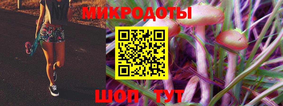 Галлюциногенные грибы Cubensis  Галлюциногенные грибы прущие грибы  Вход с VPN  Минеральные Воды 